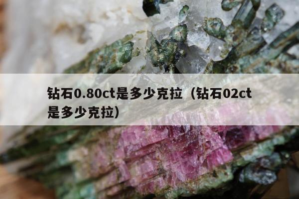 钻石0.80ct是多少克拉（钻石02ct是多少克拉）