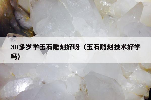 0多岁学玉石雕刻好呀（玉石雕刻技术好学吗）"