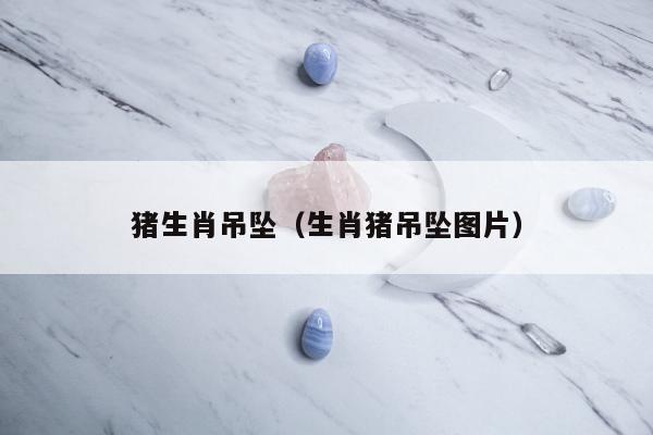 猪生肖吊坠（生肖猪吊坠图片）