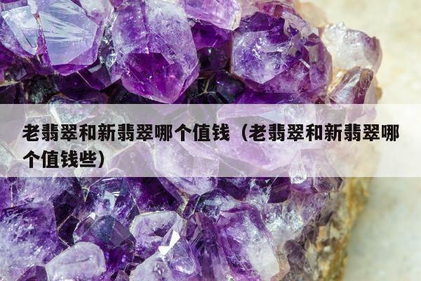 老翡翠和新翡翠哪个值钱（老翡翠和新翡翠哪个值钱些）