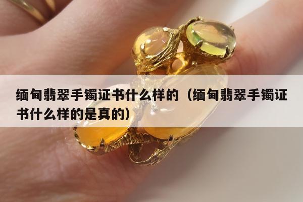 缅甸翡翠手镯证书什么样的（缅甸翡翠手镯证书什么样的是真的）