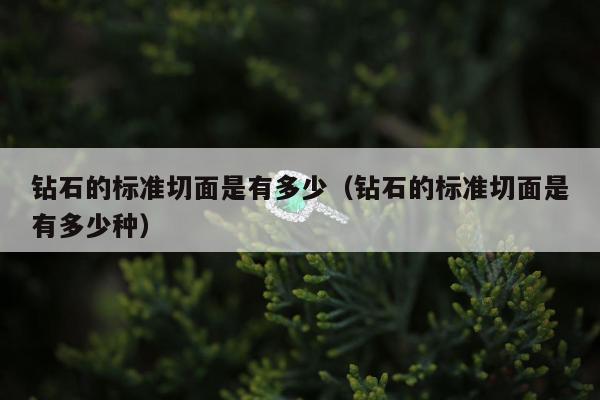 钻石的标准切面是有多少（钻石的标准切面是有多少种）