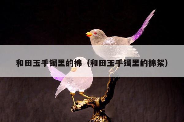 和田玉手镯里的棉（和田玉手镯里的棉絮）