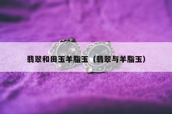 翡翠和田玉羊脂玉（翡翠与羊脂玉）