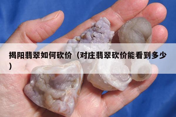 揭阳翡翠如何砍价（对庄翡翠砍价能看到多少）