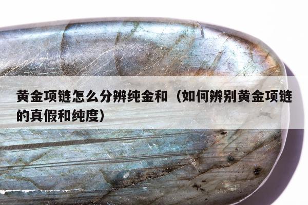 黄金项链怎么分辨纯金和（如何辨别黄金项链的真假和纯度）