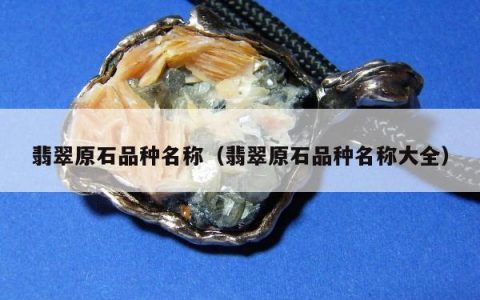 翡翠原石品种名称（翡翠原石品种名称大全）