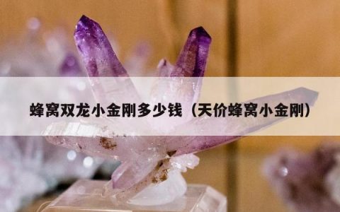 蜂窝双龙小金刚多少钱（天价蜂窝小金刚）