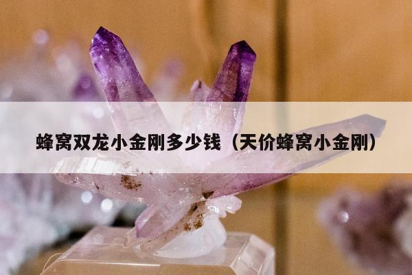蜂窝双龙小金刚多少钱（天价蜂窝小金刚）