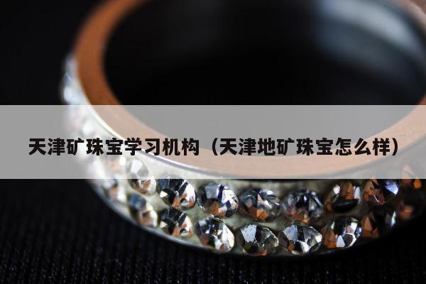 天津矿珠宝学习机构（天津地矿珠宝怎么样）