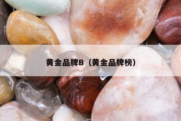 黄金品牌B（黄金品牌榜）