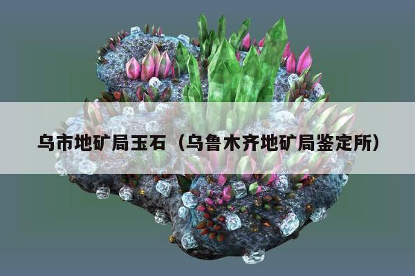 乌市地矿局玉石（乌鲁木齐地矿局鉴定所）