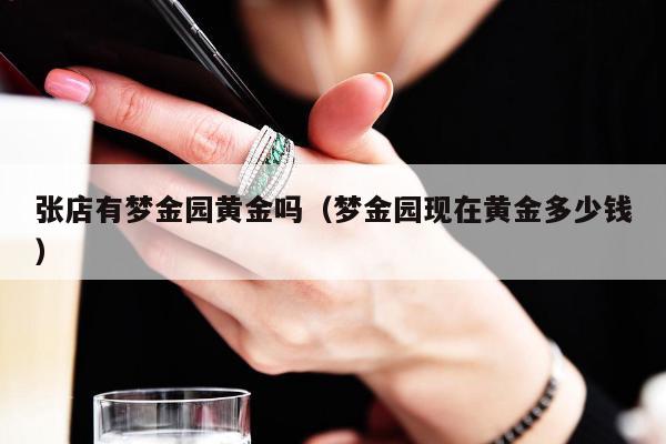 张店有梦金园黄金吗（梦金园现在黄金多少钱）