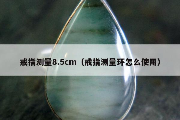 戒指测量8.5cm（戒指测量环怎么使用）