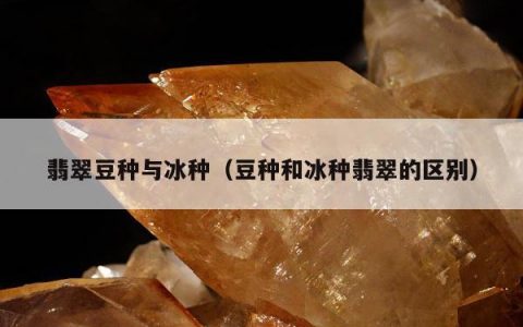 翡翠豆种与冰种（豆种和冰种翡翠的区别）