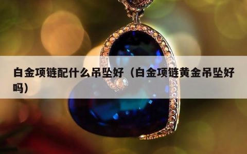 白金项链配什么吊坠好（白金项链黄金吊坠好吗）
