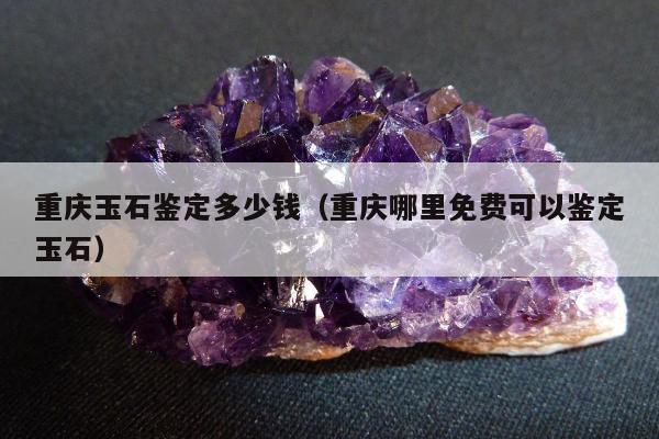 重庆玉石鉴定多少钱（重庆哪里免费可以鉴定玉石）