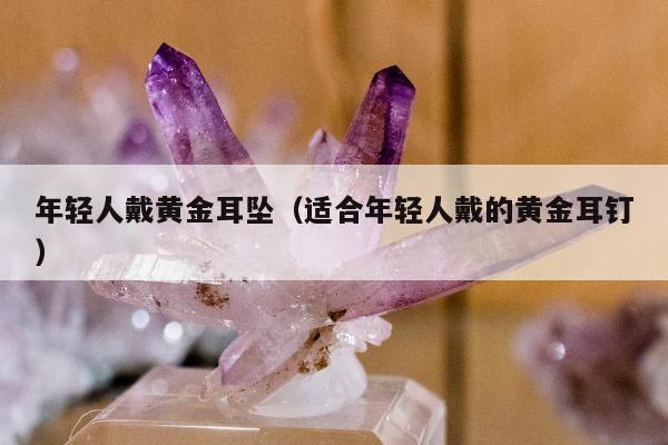 年轻人戴黄金耳坠（适合年轻人戴的黄金耳钉）