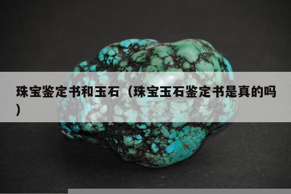 珠宝鉴定书和玉石（珠宝玉石鉴定书是真的吗）