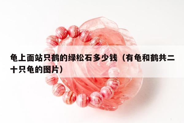 龟上面站只鹤的绿松石多少钱（有龟和鹤共二十只龟的图片）