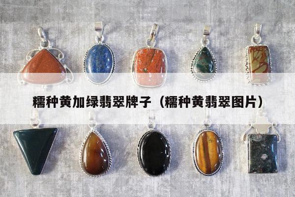 糯种黄加绿翡翠牌子（糯种黄翡翠图片）