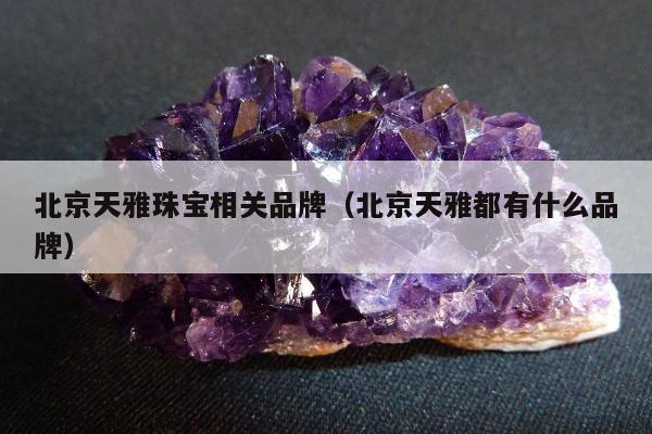 北京天雅珠宝相关品牌（北京天雅都有什么品牌）
