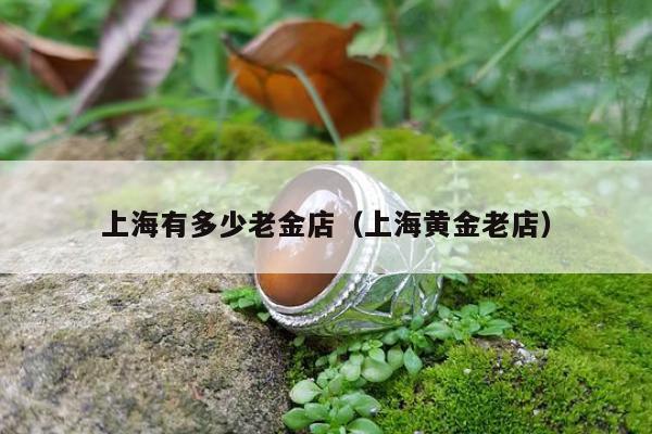 上海有多少老金店（上海黄金老店）