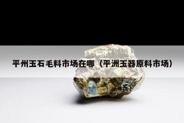 平州玉石毛料市场在哪（平洲玉器原料市场）