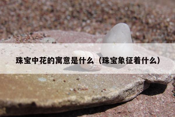 珠宝中花的寓意是什么（珠宝象征着什么）
