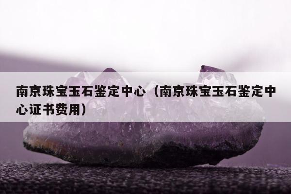 南京珠宝玉石鉴定中心（南京珠宝玉石鉴定中心证书费用）