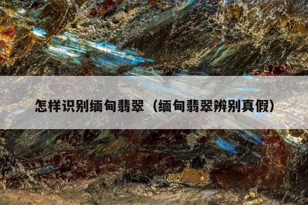 怎样识别缅甸翡翠（缅甸翡翠辨别真假）