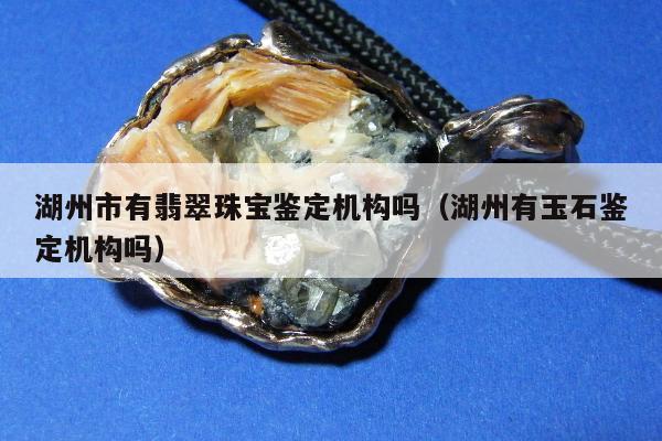 湖州市有翡翠珠宝鉴定机构吗（湖州有玉石鉴定机构吗）