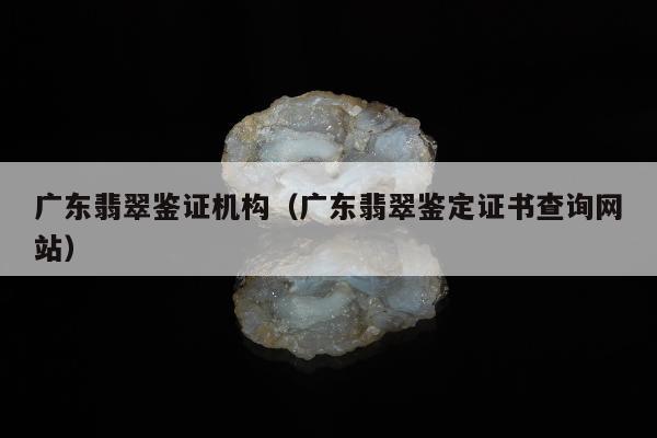 广东翡翠鉴证机构（广东翡翠鉴定证书查询网站）