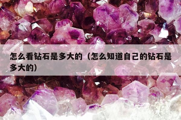 怎么看钻石是多大的（怎么知道自己的钻石是多大的）