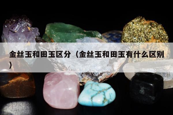 金丝玉和田玉区分（金丝玉和田玉有什么区别）