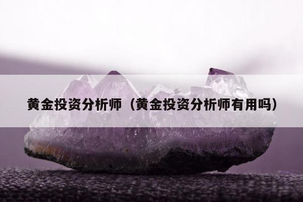 黄金投资分析师（黄金投资分析师有用吗）