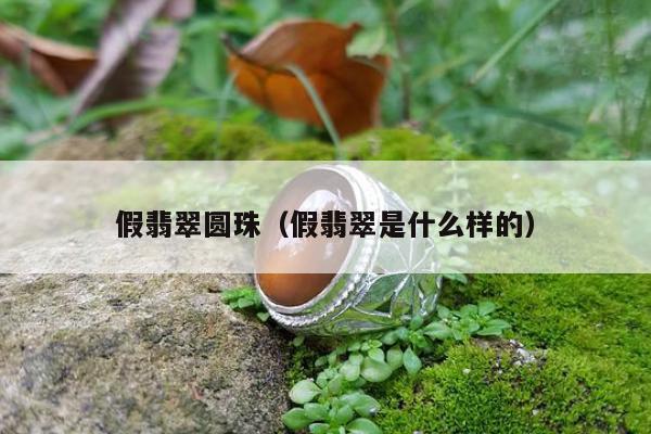 假翡翠圆珠（假翡翠是什么样的）