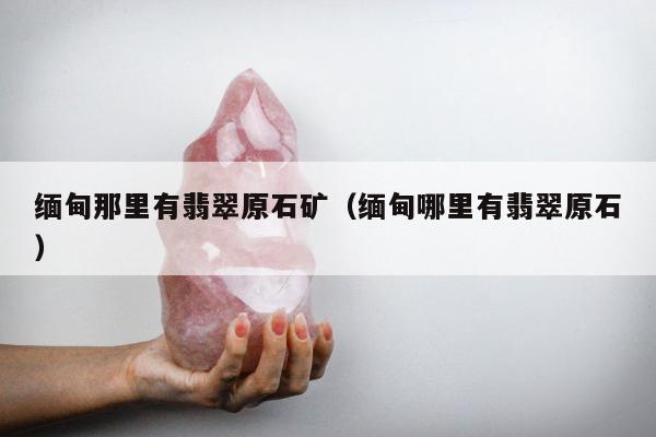 缅甸那里有翡翠原石矿（缅甸哪里有翡翠原石）