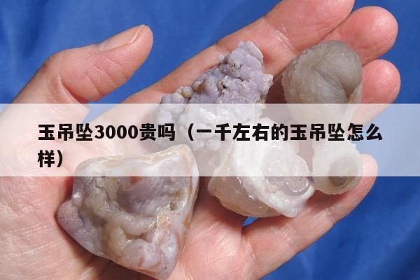 玉吊坠3000贵吗（一千左右的玉吊坠怎么样）