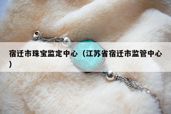 宿迁市珠宝监定中心（江苏省宿迁市监管中心）