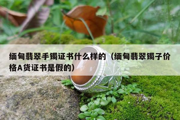 缅甸翡翠手镯证书什么样的（缅甸翡翠镯子价格A货证书是假的）