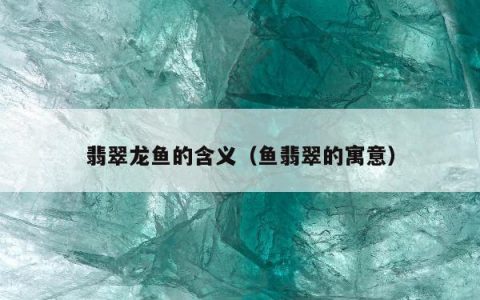 翡翠龙鱼的含义（鱼翡翠的寓意）