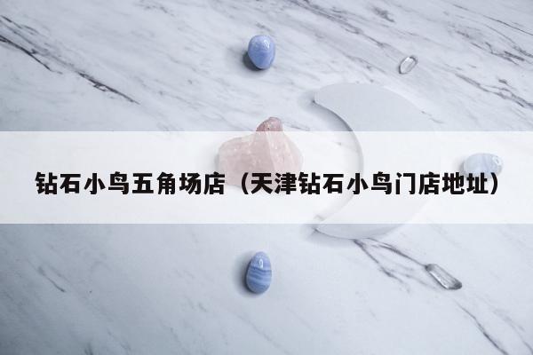 钻石小鸟五角场店（天津钻石小鸟门店地址）