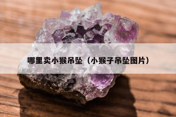 哪里卖小猴吊坠（小猴子吊坠图片）