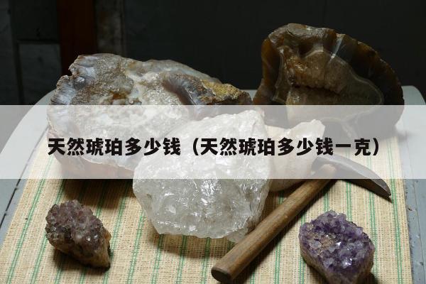 天然琥珀多少钱（天然琥珀多少钱一克）