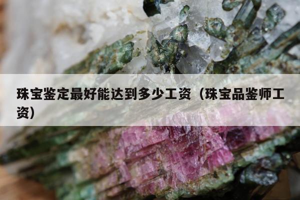 珠宝鉴定最好能达到多少工资（珠宝品鉴师工资）