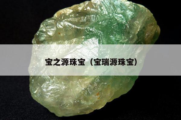 宝之源珠宝（宝瑞源珠宝）
