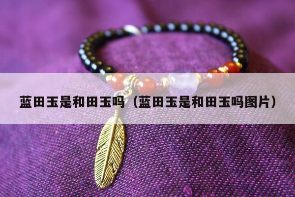 蓝田玉是和田玉吗（蓝田玉是和田玉吗图片）