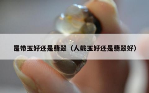 是带玉好还是翡翠（人戴玉好还是翡翠好）
