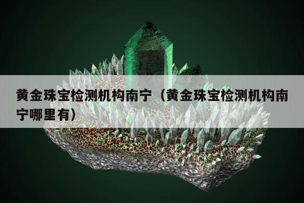 黄金珠宝检测机构南宁（黄金珠宝检测机构南宁哪里有）